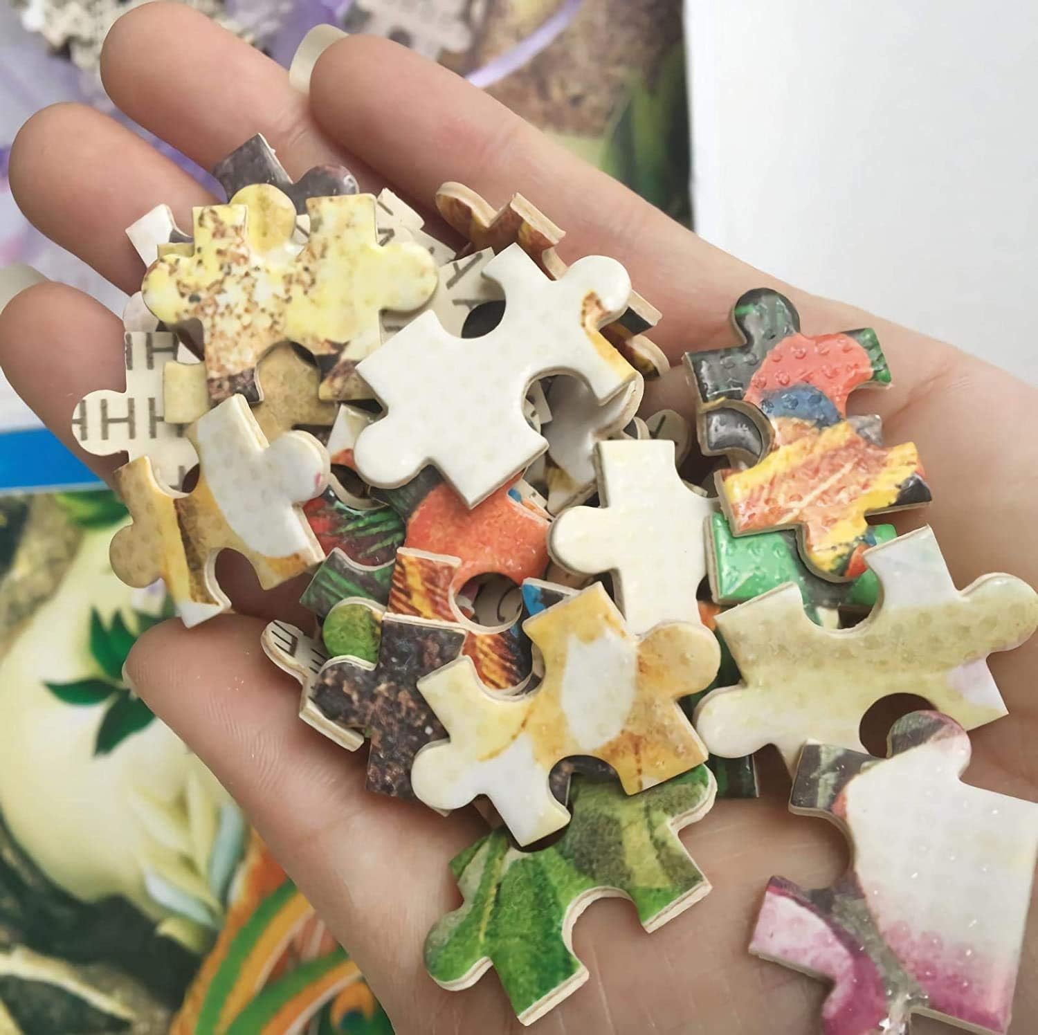 Jigsaw Puzzles for Adults 1000 - огляд і ціна Puzzle Map World